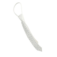 Glitters Rhinestones Embellished Satins Tie Perfect For-White