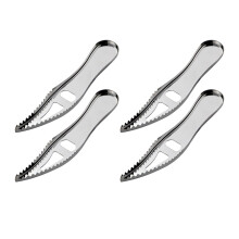 Raspador de escamas de peixe de aço inoxidável de 4 peças com frasco.