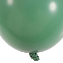 ROSENICE Festival Party Balloons Latex Garland 20 pcs