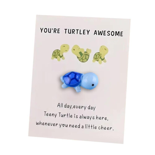 Pocket Turtle Hug Card Cheer Up Gift