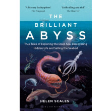The Brilliant Abyss True Tales of Exploring the Deep Sea Discovering H