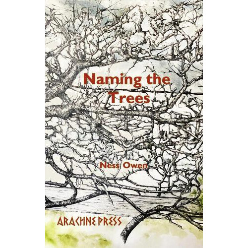 Naming the Trees by Ness Owen Paperback Book