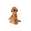Warmies Beddy Bear Wärmekuscheltier Minis Erdmännchen 1