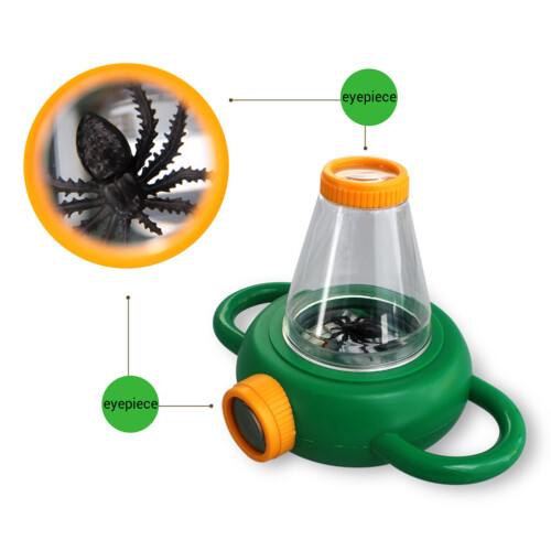 Top Side View Insect Viewer 4x for Kids