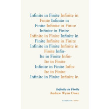 Infinite in Finite by Andrew Wynn Owen Paperback Book