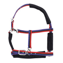 Elegant Horse Halter Comfort