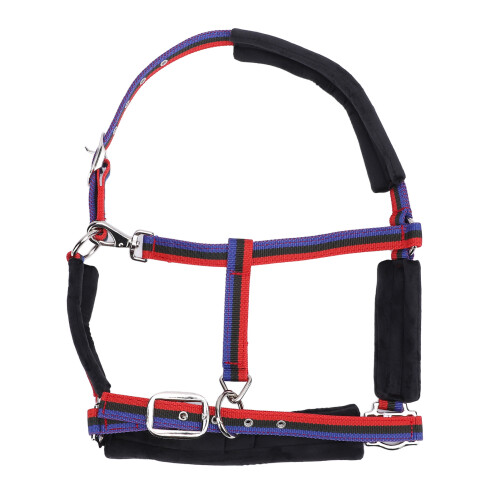 Elegant Horse Halter Comfort