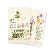 Royal Botanic Garden Edinburgh Set of 3 Mini Notebooks Other Book