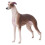 Brown Greyhound Model Ornament Desktop Decoration Toy Gift 1