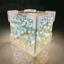 3D-Blumen-Spiegel-Nachtlicht-Set mit LEDs, blau-lila