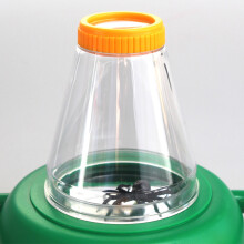 Top Side View Insect Viewer 4x for Kids