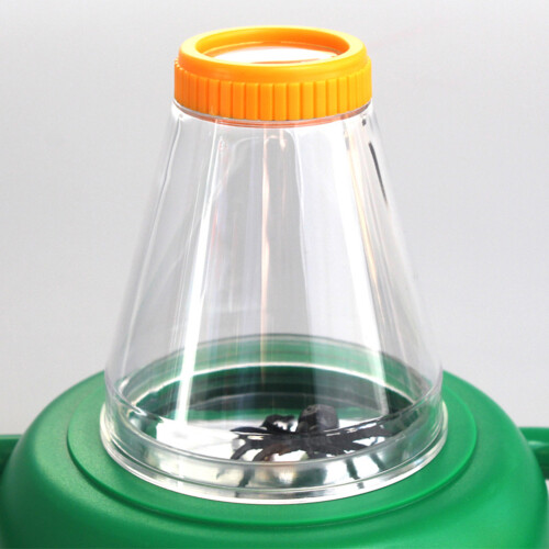 Top Side View Insect Viewer 4x for Kids