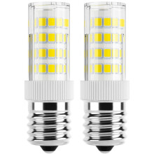 Ampoules LED Ruibeauty E17 dimmables 4W 6000K (lot de 2)