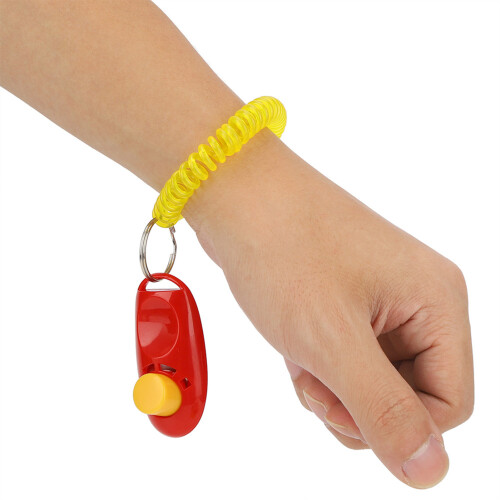 Hundeerziehung: 7 Klicker mit Handschlaufe