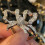 Sterling Silver Curved Butterfly CZ Thumb Ring 5