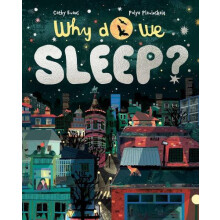 Why Do We Sleep by Cathy Evans Hardcover Book