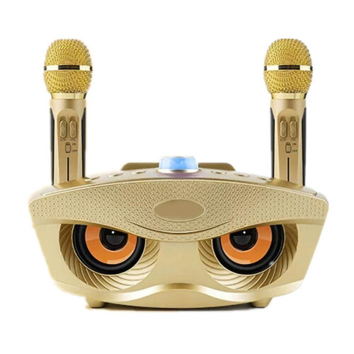 2-in-1 Portable Speaker Dual Mic Kit