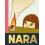Yoshitomo Nara Hardcover Book 1