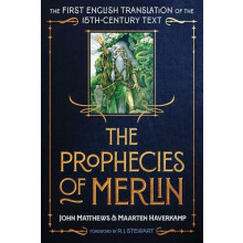 Prophecies of Merlin by Maarten Haverkamp Hardcover Book