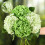 Flores artificiais de hortênsia verde e branca, 4 peças de 53 cm (21 polegadas). 1
