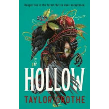 Hollow by Taylor Grothe Paperback Book