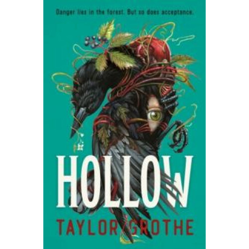 Hollow by Taylor Grothe Paperback Book