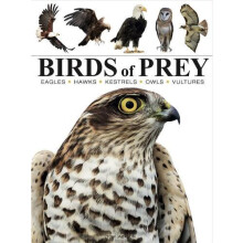 Birds of Prey by Tom Jackson Paperback Book