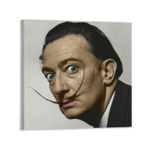 Salvador Dali Poster Leinwanddruck 16x16 Zoll