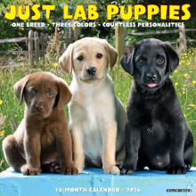 Lab Puppies 2026 12 X 12 Wall Calendar by Willow Creek Press Other Boo