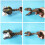 Fun Dino Chomper Game Set 2
