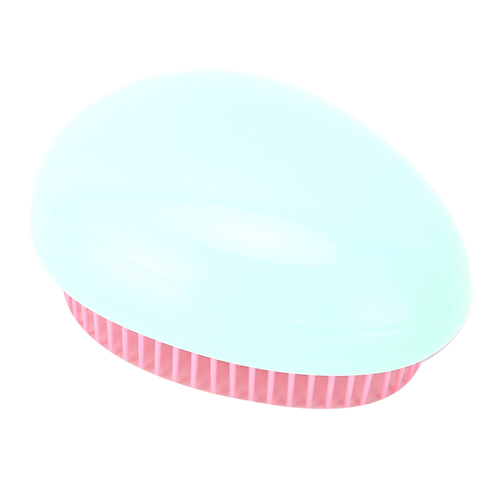 Compact Egg Shape Detangling Hair Brush