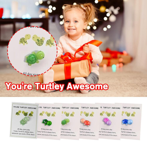 Crazyview Mini Pocket Hug Turtle Inspirational Gift with 1