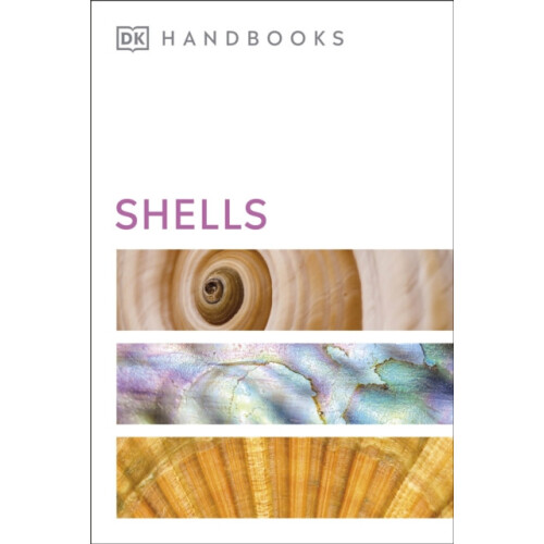 Shells by S. Peter Dance Paperback Book