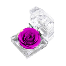 Rose véritable préservée dans un écrin transparent – 1 pièce