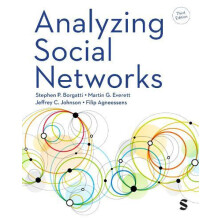 Analyzing Social Networks by Filip Agneessens Paperback Book