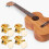 Gold Tuning Pegs Ukulele Locking 2L 2R 7