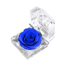 Rose véritable préservée dans un mini écrin transparent – 1 pièce
