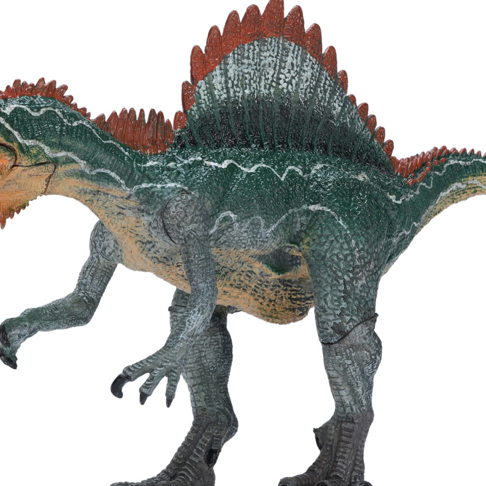 Solid Dinosaur Model for Learning
