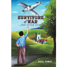 Survivors of War by Nigel Power Paperback Book