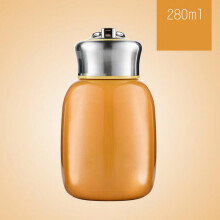 Bouteille isotherme en acier inoxydable pour adulte, 200 ml