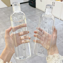 Μπουκάλι νερού από βοριοπυριτικό γυαλί Travelwant 500ml