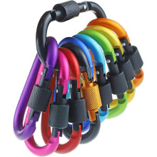 Mousqueton porte-clés en aluminium avec anneau en D (lot de 10)