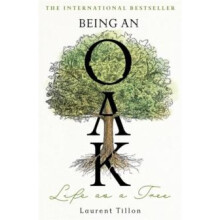 Being an Oak Life as a tree by Laurent Tillon Hardcover Book