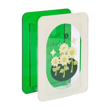 Transparente Buchvase für Blumen – 1 Stück