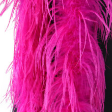 Ostriches Plumage Wrap For Bridal Wear And Photo Props-Rose