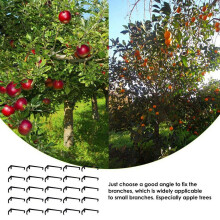 Écarteur de branches d'arbres (25 pièces), cadre de support pour branches robustes sur les arbres fruitiers et autres arbres fruitiers