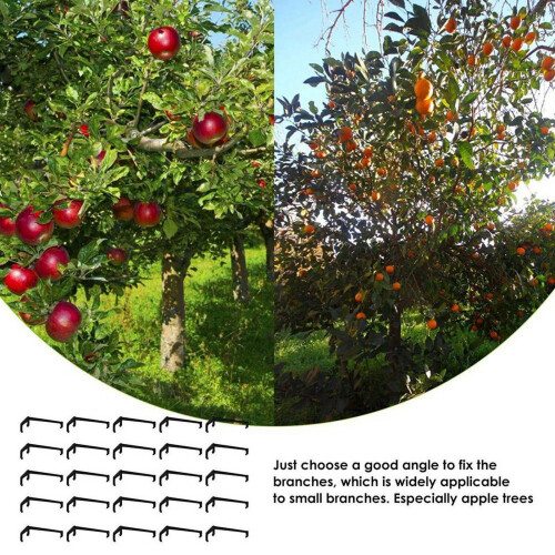 Tree Branch Spreader Support Frame25Pieces