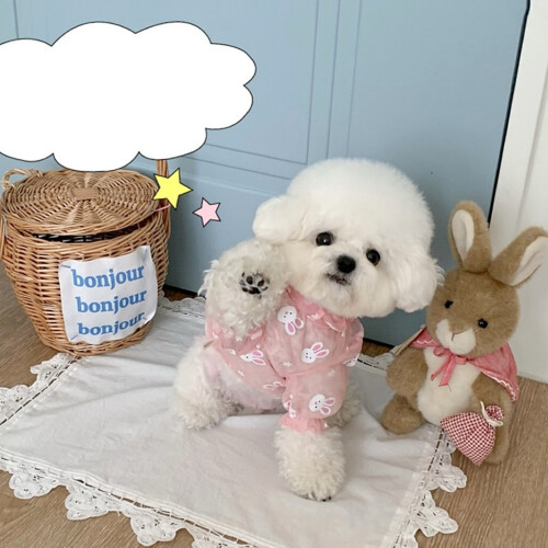 Hond Pullover Mesh Jumpsuit voor middelgrote honden voor-M 2