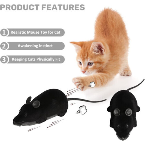 Souris télécommandée pour chat, jouet sans fil interactif 1