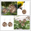 Matériau pour nid de colibri (2 pièces) 6